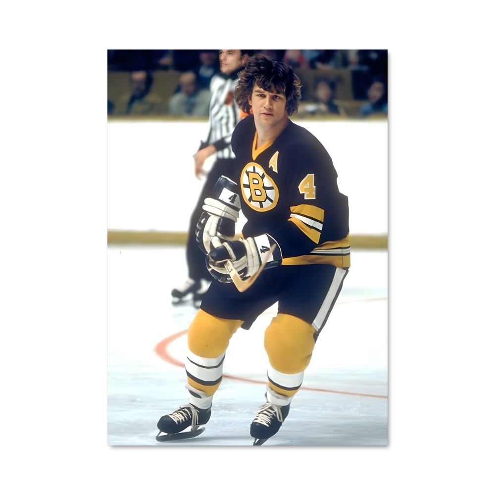 Poster L'Art du Hockey – affiche Hockey sur glace